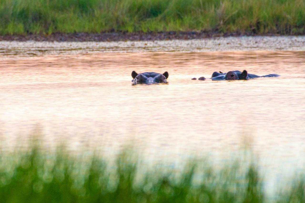 Sitatunga Campsite マウン エクステリア 写真