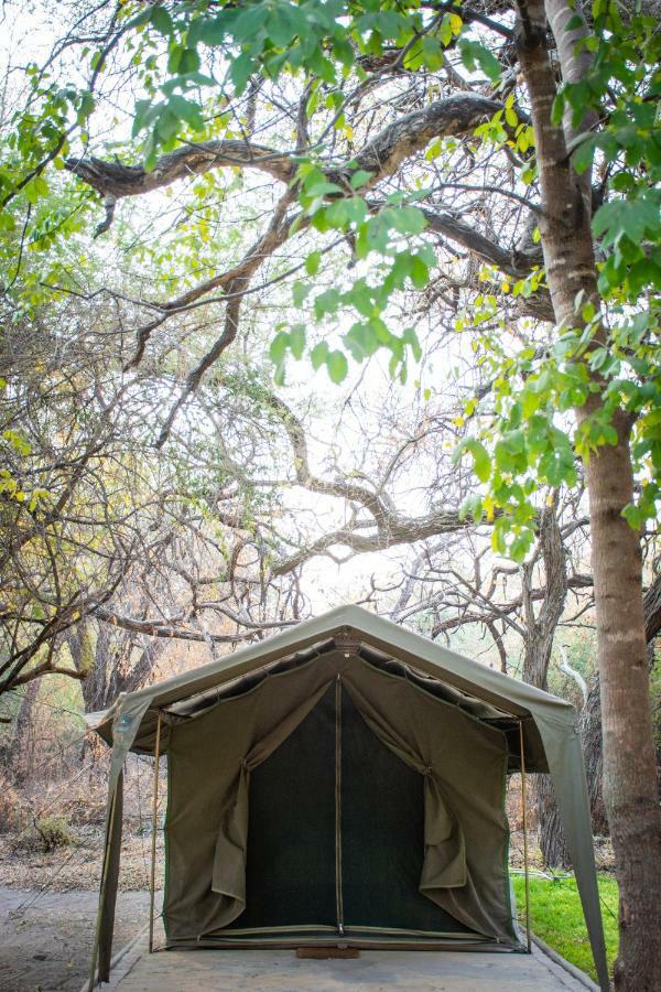 Sitatunga Campsite マウン エクステリア 写真